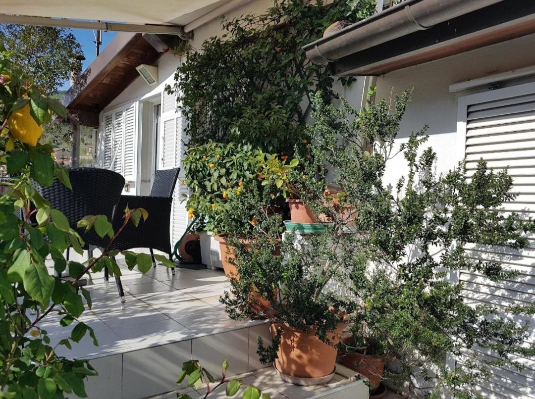 B&B Dei Doria & Suite Dolceacqua Zewnętrze zdjęcie